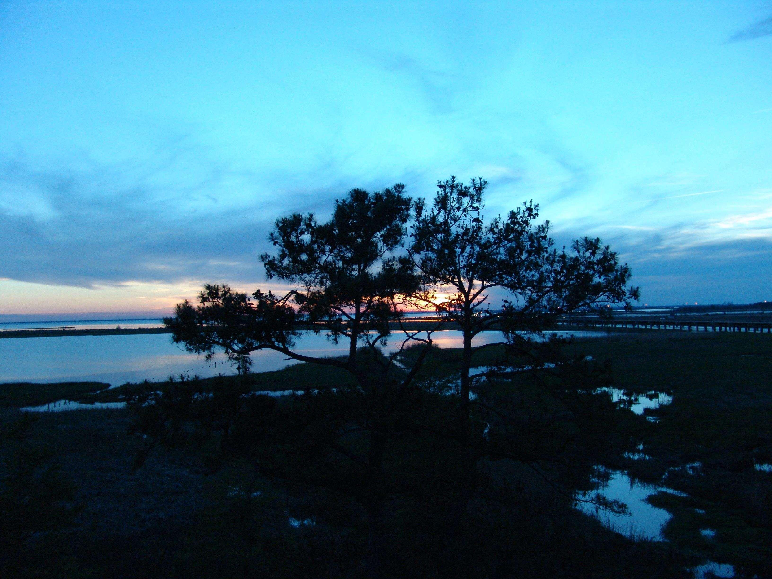 Hampton Inn Mobile/East Bay Daphne Εξωτερικό φωτογραφία